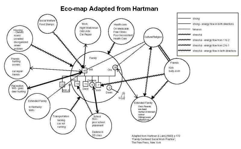 Ecomap from Hartman